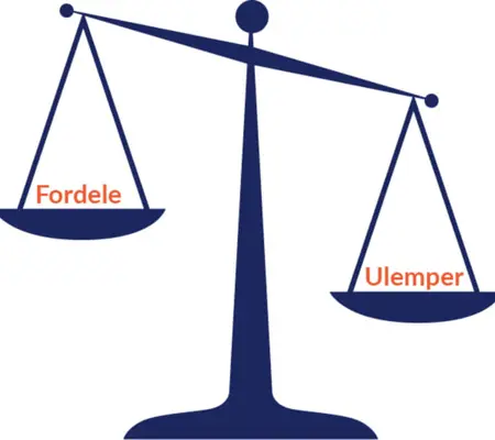 Fordele og ulemper ved at låne penge Fordele og ulemper ved at låne penge